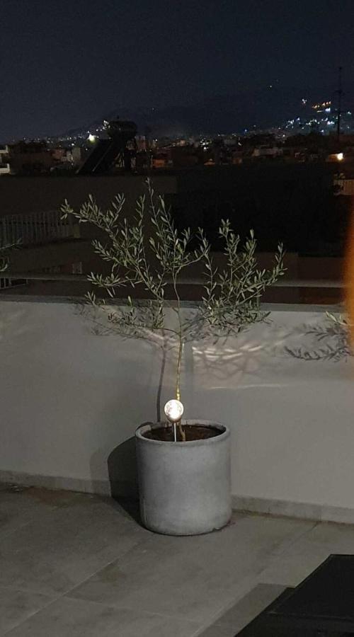 My Home In Greece Athena Bagian luar foto